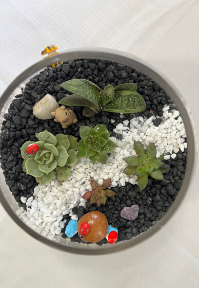 Terrarium Workshop