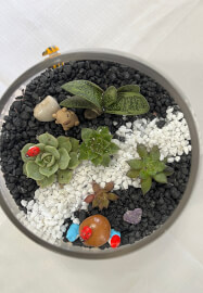 Terrarium Workshop