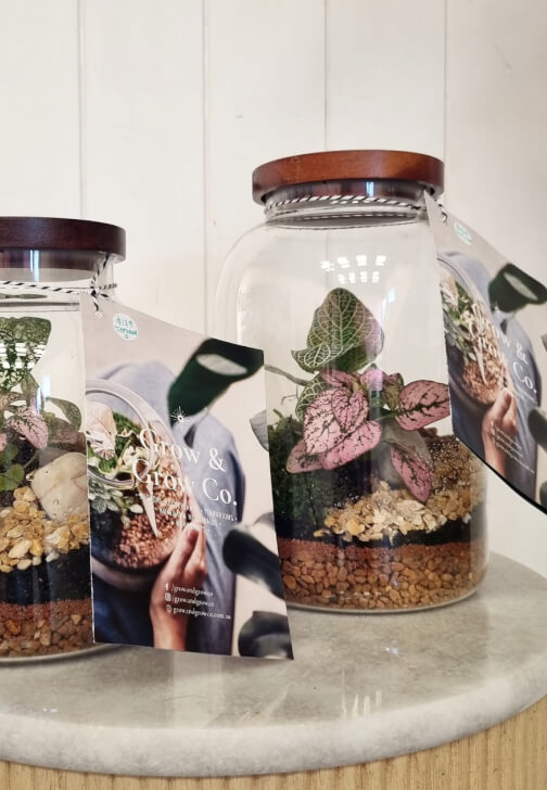 Terrarium Workshop