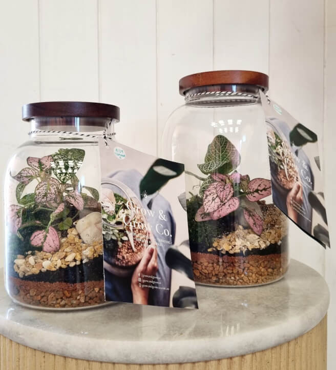 Terrarium Workshop