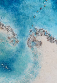 Textured Landscapes: Advanced Art Course for Beginners