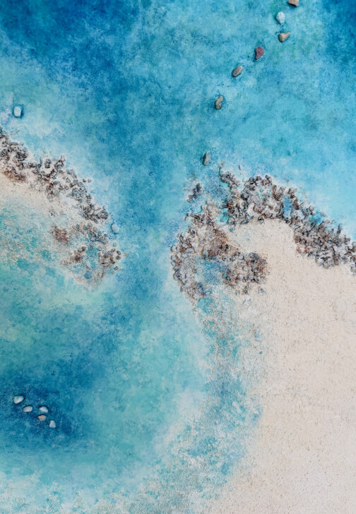 Textured Landscapes: Advanced Art Series Workshop