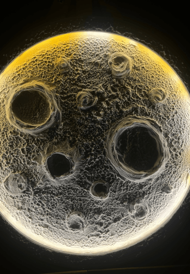 Textured Moon Lamp Painting Workshop for Beginners