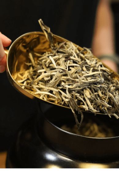 The Art of Black Tea Tasting Experience