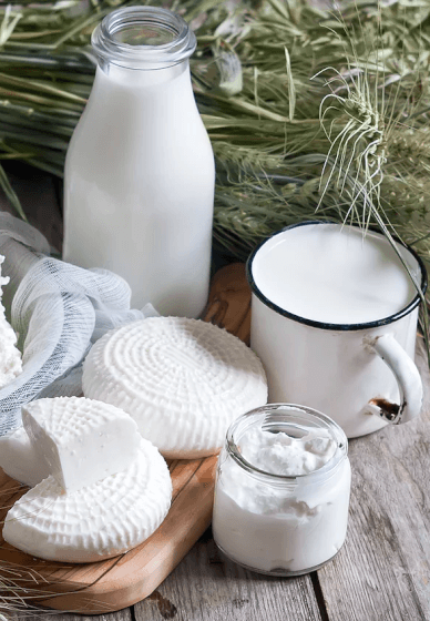 The Art of Making Cheese and Butter Workshop