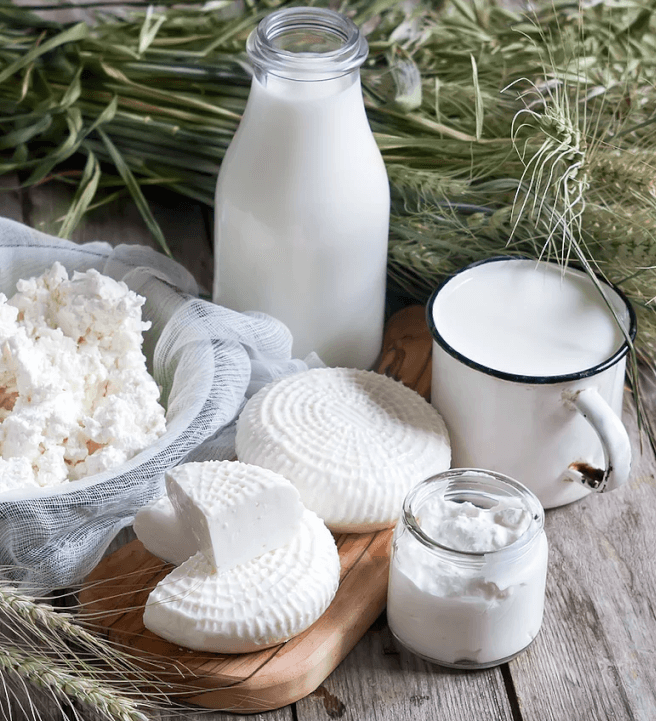 The Art of Making Cheese and Butter Workshop