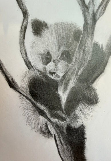 The Art of Sketching Workshop