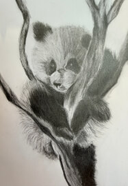 The Art of Sketching Workshop