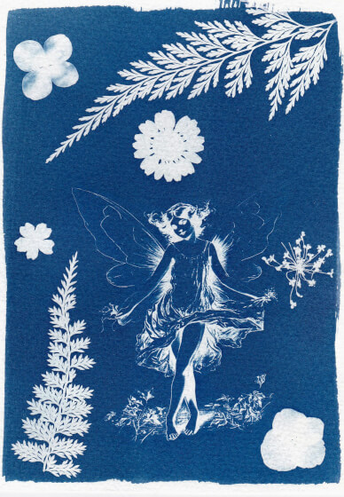 The Art of Sun Printing: Cyanotype Workshop