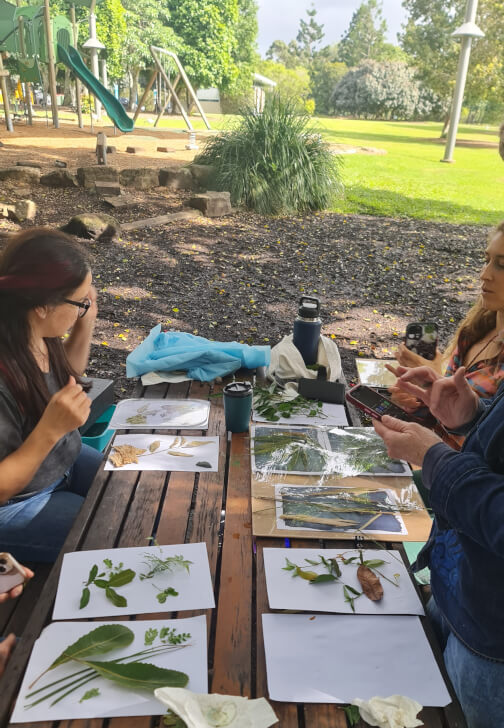 The Art of Sun Printing: Cyanotype Workshop