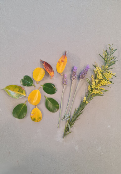 The Art of Sun Printing: Cyanotype Workshop