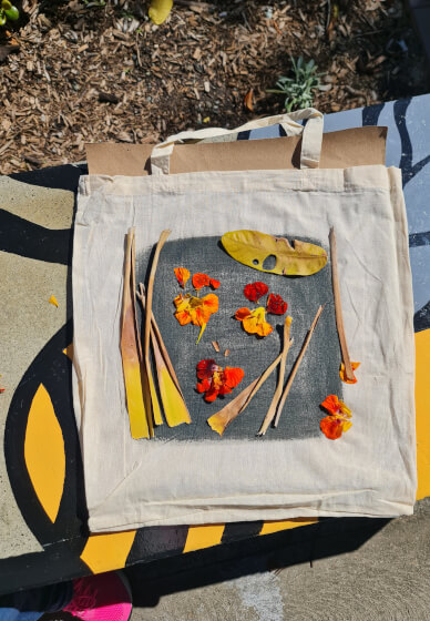 The Art of Sun Printing: Cyanotype Workshop