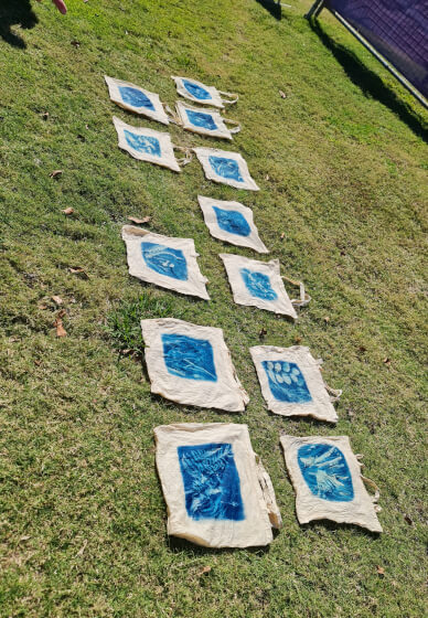 The Art of Sun Printing: Cyanotype Workshop
