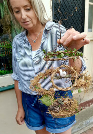 The Botanical Birdcage Workshop