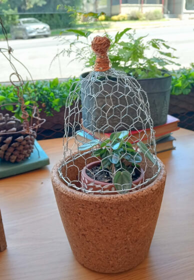 The Creative Garden Cloche Workshop