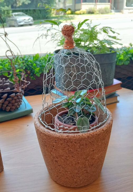 The Creative Garden Cloche Workshop
