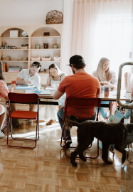 The Creative Reset Course