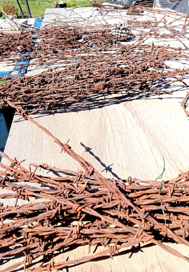 The Embellished Birdcage Workshop