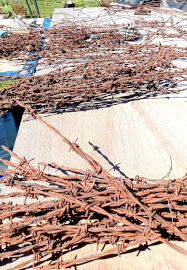 The Embellished Birdcage Workshop