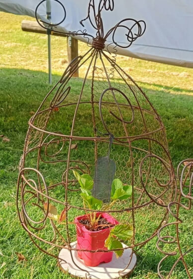 The Embellished Birdcage Workshop