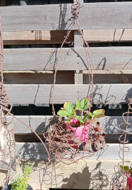 The Embellished Nest Workshop