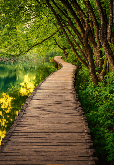 The Path of Transformation: Intro Class