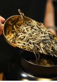 The World of Green Tea Tasting Experience
