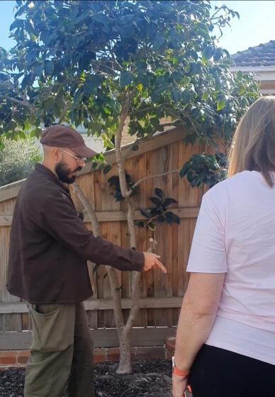 The Zero-to-Harvest Workshop: Start Your First Veggie Plot