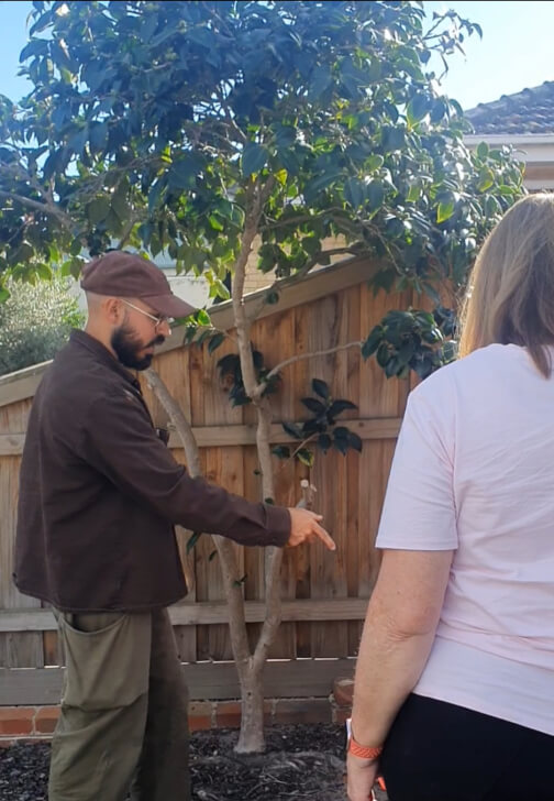 The Zero-to-Harvest Workshop: Start Your First Veggie Plot
