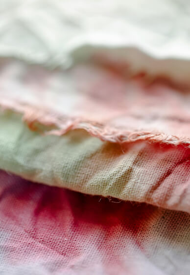 Sustainable Plant-Based Dyeing Masterclass