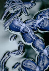 Sustainable Plant-Based Dyeing Masterclass