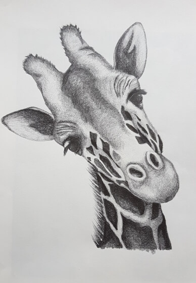 Three-Day Sketching Course for Beginners