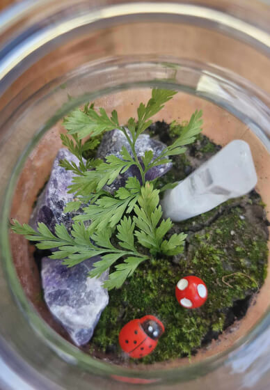 Tiny Terrarium Workshop