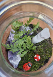 Tiny Terrarium Workshop