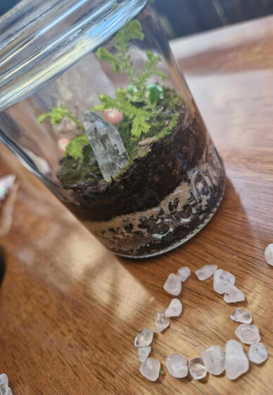 Tiny Terrarium Workshop