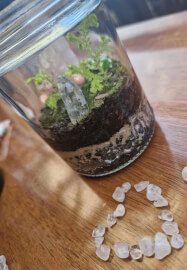 Tiny Terrarium Workshop
