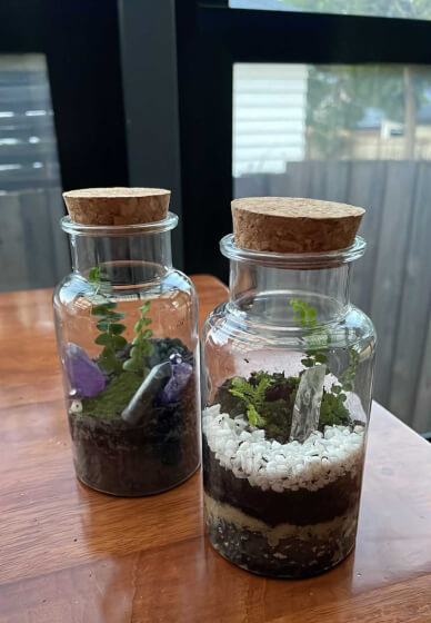 Tiny Terrarium Workshop