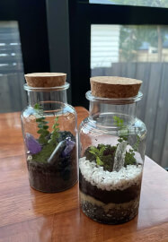 Tiny Terrarium Workshop