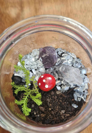 Tiny Terrarium Workshop