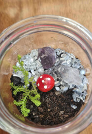 Tiny Terrarium Workshop