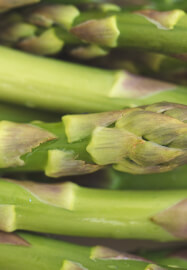 Tour of Fresh Produce and Cook Up