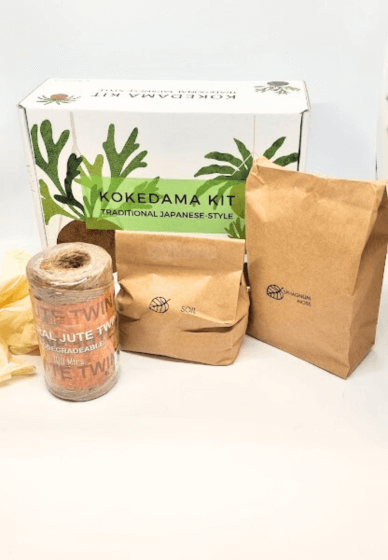 Traditional Japanese-style Kokedama Virtual Class