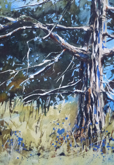 Trees in Watercolour Workshop with Maxine Wade
