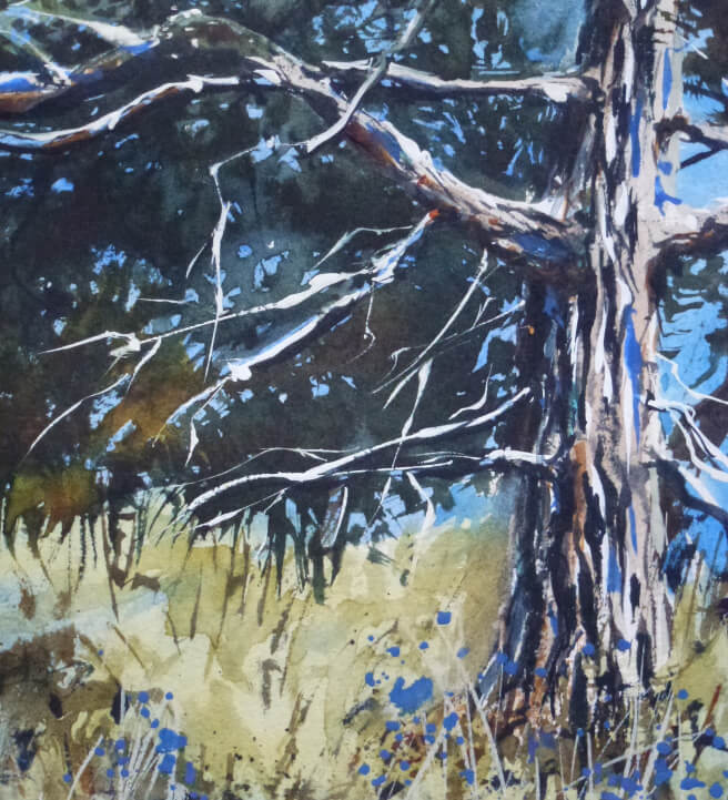 Trees in Watercolour Workshop with Maxine Wade