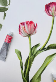 Tulip Watercolour Painting Class