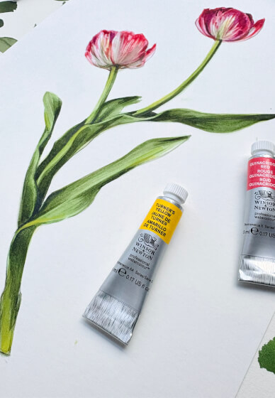 Tulip Watercolour Painting Class
