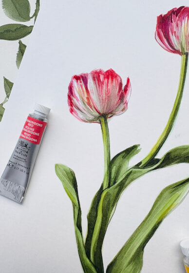 Tulip Watercolour Painting Class