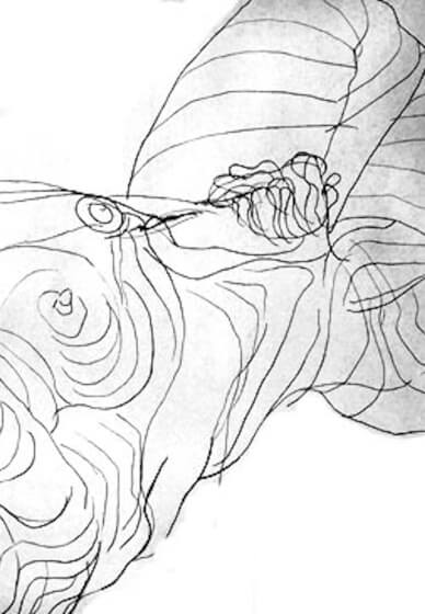 Tutored Life Drawing Class