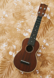 Ukulele Course for Beginners