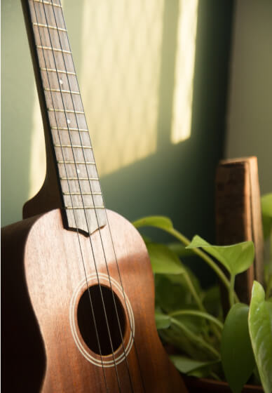 Ukulele Course for Beginners